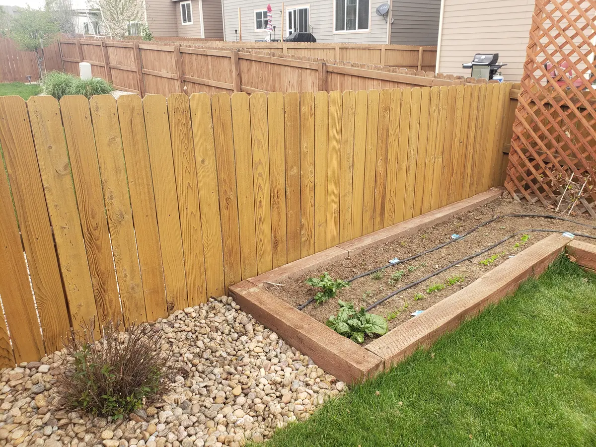 Project 15 After