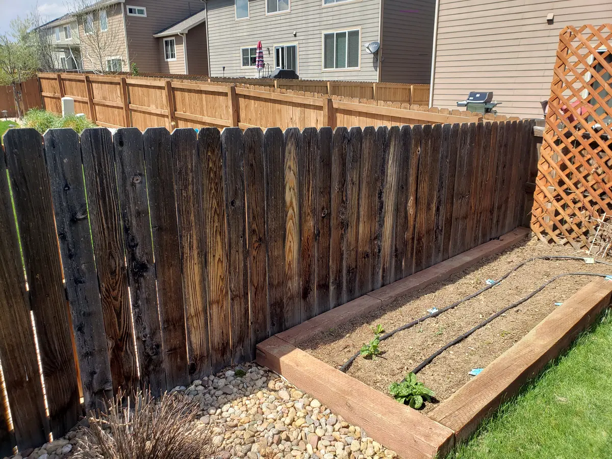 Project 15 Before